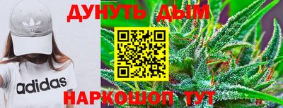 спиды Будённовск